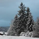 Διαμέρισμα Naturparadies Silvia Alberschwende