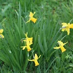 Διαμέρισμα Naturparadies Silvia
