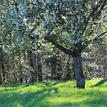Διαμέρισμα Naturparadies Silvia *