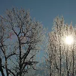 Διαμέρισμα Naturparadies Silvia Alberschwende