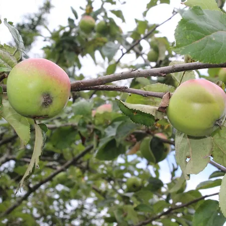 Appartamento Naturparadies Silvia *