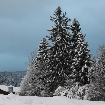 Appartamento Naturparadies Silvia Alberschwende