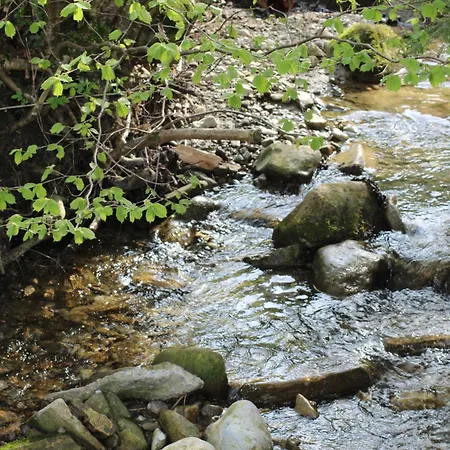 Naturparadies Silvia 阿尔贝施文德