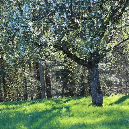 Appartamento Naturparadies Silvia *