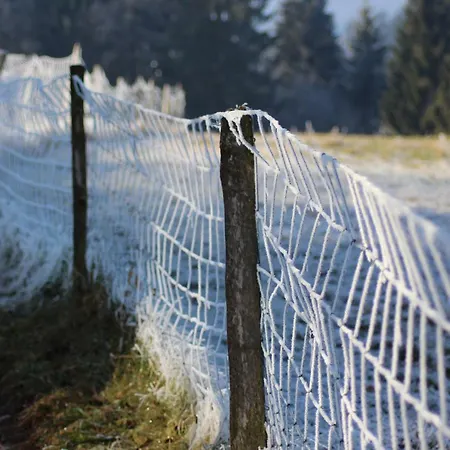 Naturparadies Silvia * 阿尔贝施文德