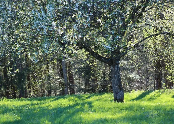 شقة Naturparadies Silvia *