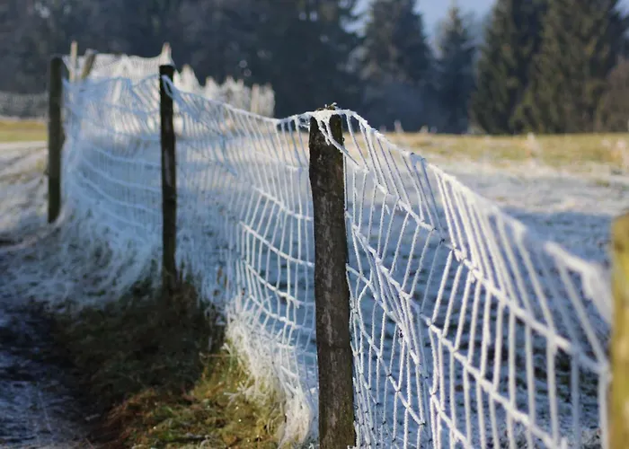 Naturparadies Silvia * البيرشوينده